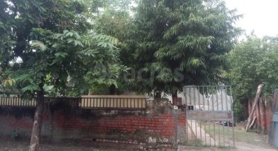 ₹4.5 Crore, Land/Plot in Sector Phi 3 Greater Noida